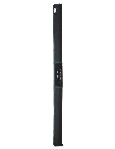 Caña Daiwa Tournament Masterise II 33 Hibrida