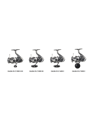 Carrete Daiwa Caldia 25 LT