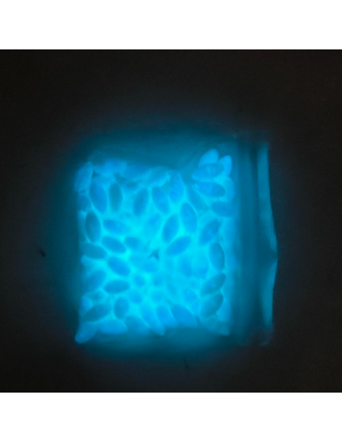 Perla Pasante Azul Fosfo n 00