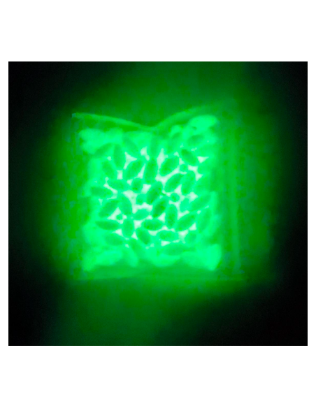 Perla Pasante Verde Fosfo n 00