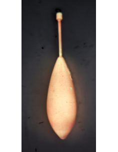 Plomo Fosforescente DCA 140 Rosa 2