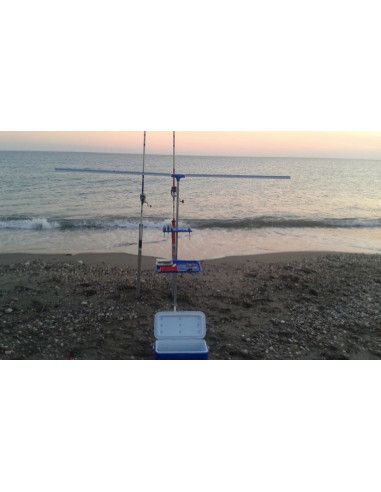 Percha Sparus